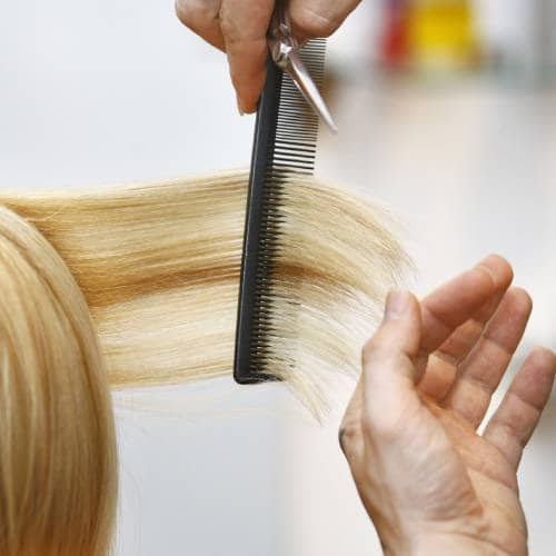 Haircut Services